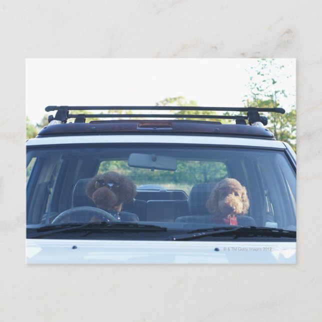 Postal cuaderno estándar 4 (Anverso)