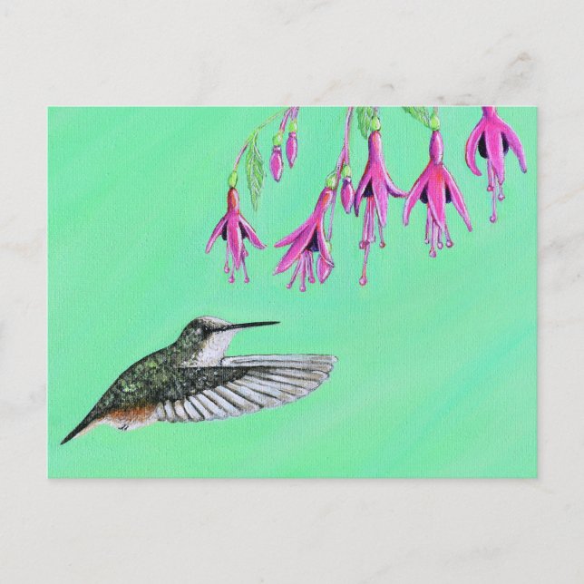 Postal Cuadros de colibrí y fucsia (Anverso)