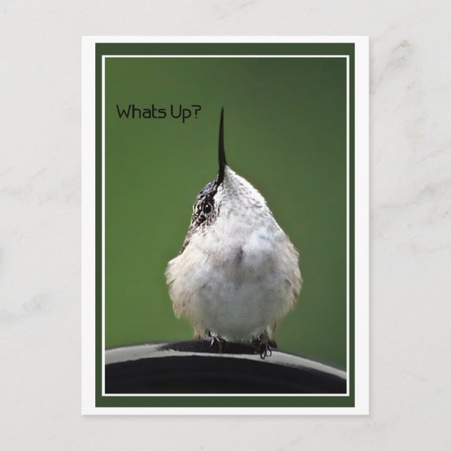 Postal ¿Cuál está para arriba? Con el texto (Anverso)