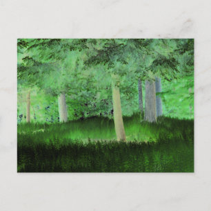 Postal "Cualquier cosa podría pasar" Bosque Mágico Transf