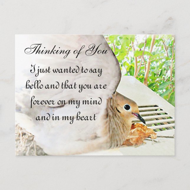 Postal Cualquier ocasión_ (Anverso)