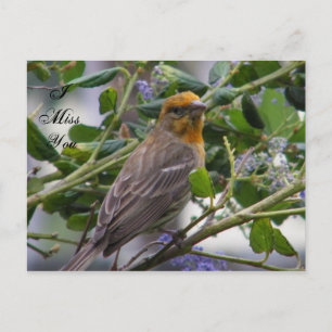 Postal Cualquier ocasión_