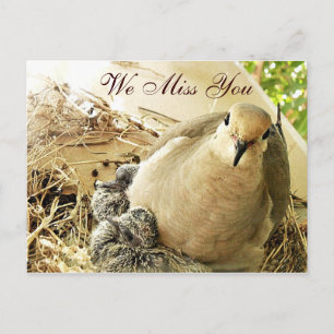 Postal Cualquier ocasión_