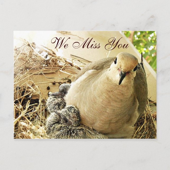 Postal Cualquier ocasión_ (Anverso)