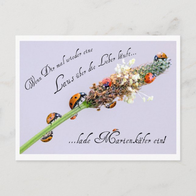 Postal ¡Cualquier persona puede usar un poco de suerte ex (Anverso)