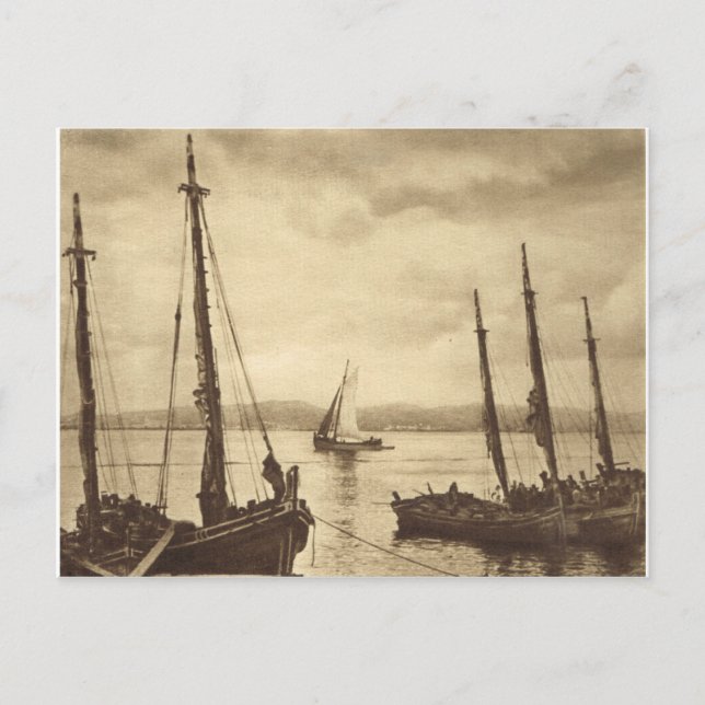 Postal ¡Cualquiera para Oysters!  Barcos de pesca (Anverso)