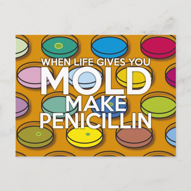 POSTAL CUANDO LA VIDA TE DA MOLDEO (Anverso)