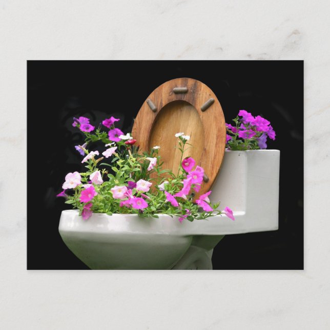 Postal Cuando la vida te da popó (Anverso)