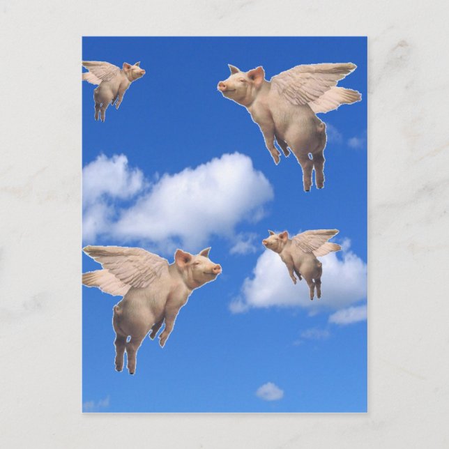 Postal Cuando los cerdos vuelan (Anverso)