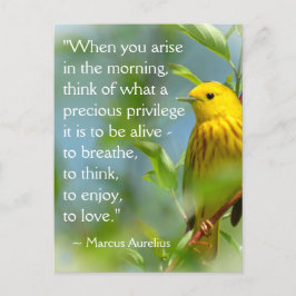 Postal Cuando Surja Marcus Aurelius Inspiración Cita P