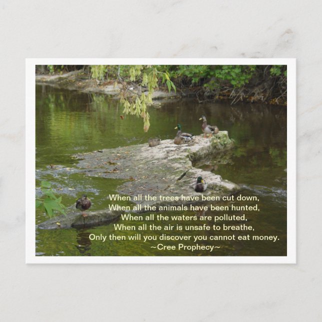 Postal Cuando todo (Anverso)