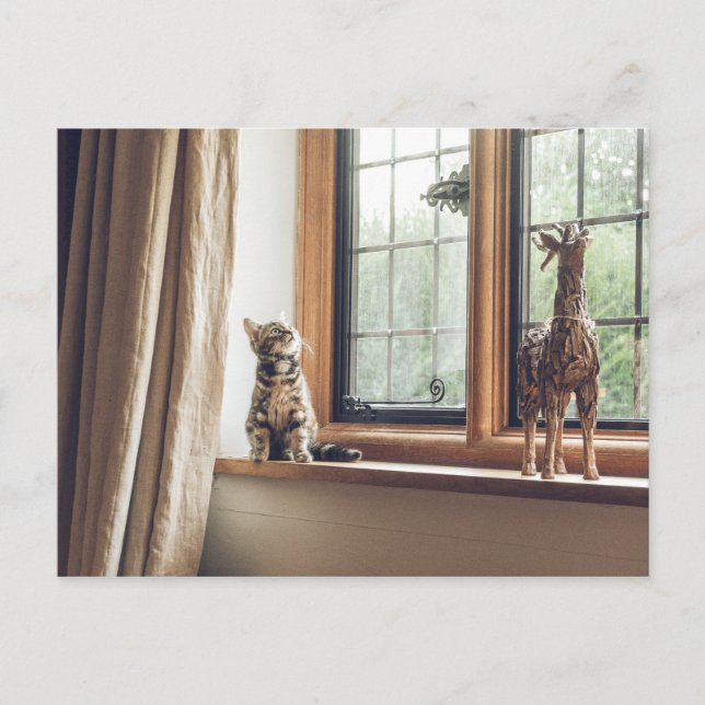 Postal ¿Cuánto cuesta ese Kitty en la ventana? (Anverso)