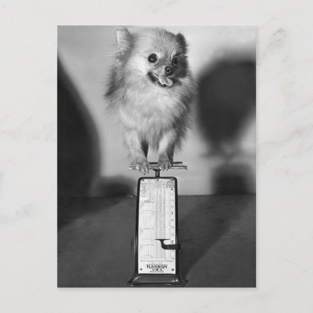 Postal ¿Cuánto Pesa? (Anverso)