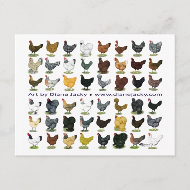 Postal Cuarenta y ocho Hen Promo (Anverso)