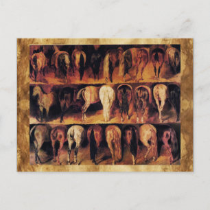 Postal Cuarteles traseros de caballos