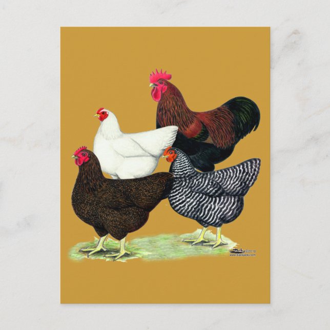 Postal Cuarteto de la Roca Plymouth (Anverso)