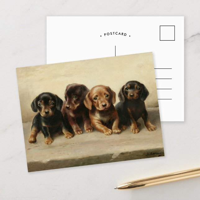 Postal Cuatro cachorros Dachshund | Carl Reichert (Subido por el creador)