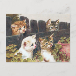 Postal "Cuatro gatitos"