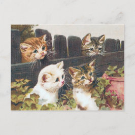 Postal "Cuatro gatitos"
