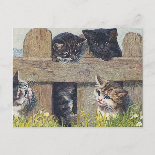 Postal Cuatro gatitos tocando Ilustracion vintage (Anverso)