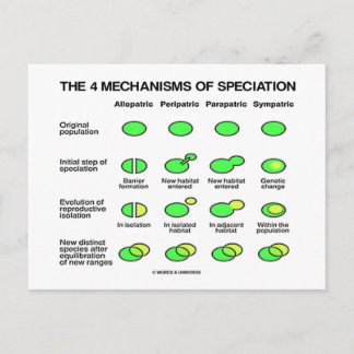 Postal Cuatro Mecanismos De Especiación (Evolución)