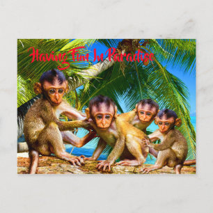 Postal Cuatro pequeños monos