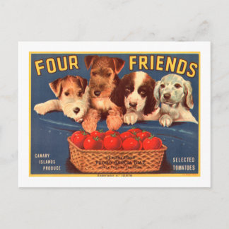 Postal Cuatro perros de la etiqueta del cajón del tomate