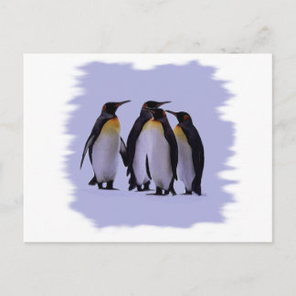 Postal Cuatro pingüinos