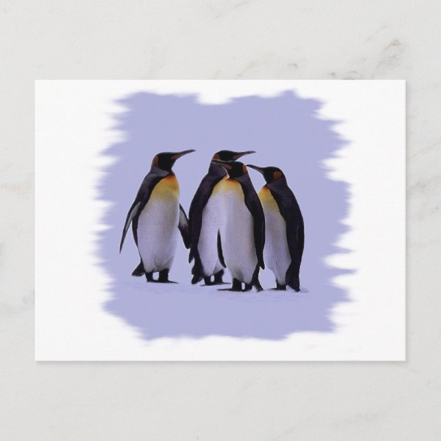 Postal Cuatro pingüinos (Anverso)