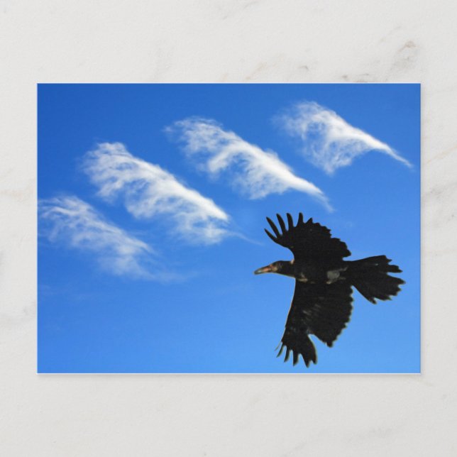 Postal Cuatro plumas (Anverso)