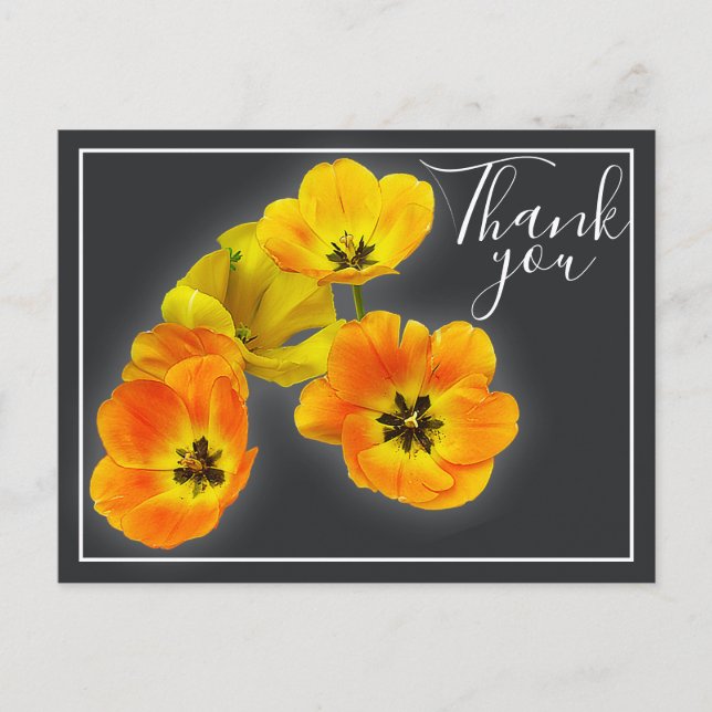 Postal Cuatro tulipanes amarillo Naranja fondo gris graci (Anverso)