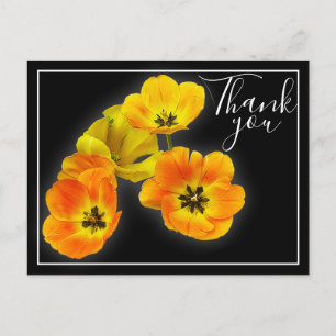 Postal Cuatro Tulipanes Amarillos Naranjas Fondo Negro Gr