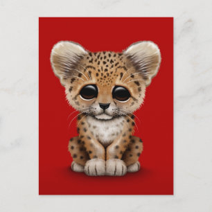 Postal Cub de leopardo infantil en rojo