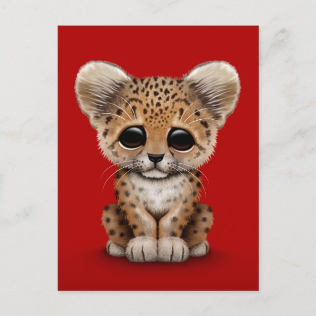 Postal Cub de leopardo infantil en rojo (Anverso)
