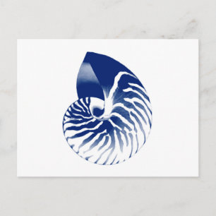 Postal Cubierta de Nautilus - azul marino y blanco