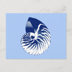 Postal Cubierta de Nautilus - marina, blanca y azul claro