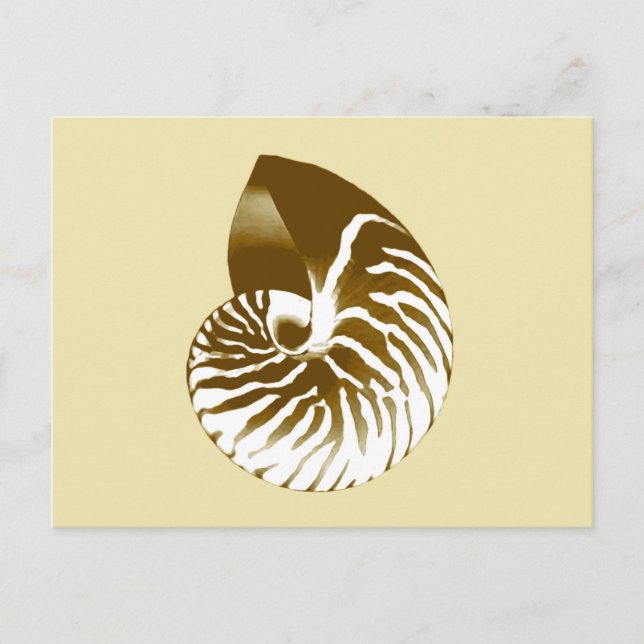 Postal Cubierta de Nautilus - marrón, blanco y beige (Anverso)
