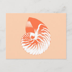 Postal Cubierta de Nautilus - naranja de coral y blanco