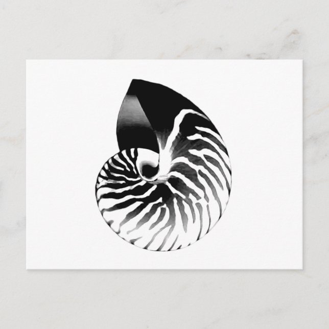 Postal Cubierta de Nautilus - negro, gris y blanco (Anverso)