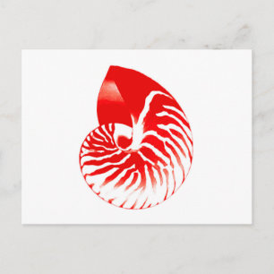 Postal Cubierta de Nautilus - rojo oscuro y blanco