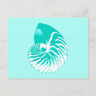 Postal Cubierta de Nautilus - turquesa, aqua y blanco