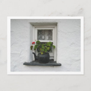 Postal Cubierta de ventana