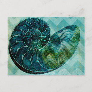 Postal Cubierta espiral de conchas turquesas