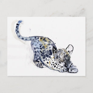 Postal Cubo de estiramiento