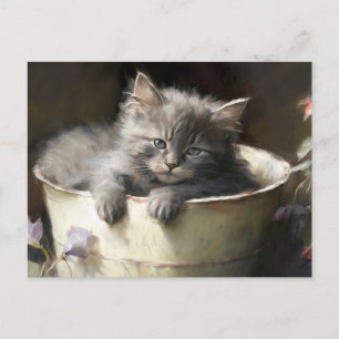 Postal Cubo Lleno De Alegre Gris Gray Kitten