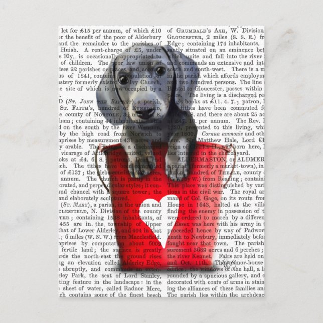 Postal Cubos de amor de Dachshund (Anverso)