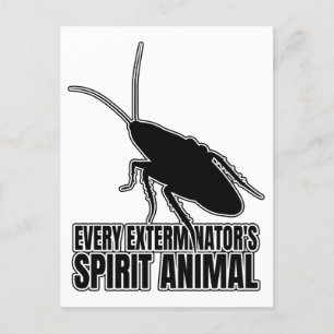 Postal Cucarachas Cucaracha Roach - Entomology Geek