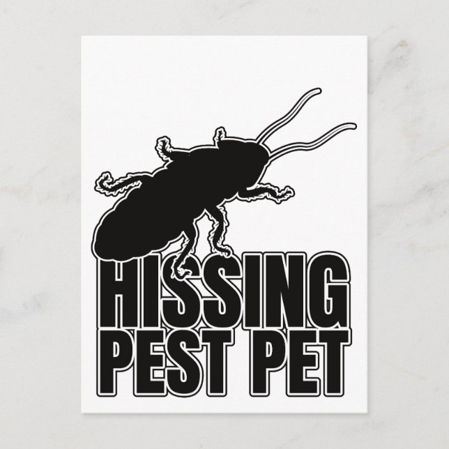 Postal Cucarachas silvestres Cockroach Roach Hisser (Anverso)