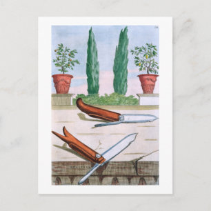 Postal Cuchillo de jardinería, de 'Hesperides' por Giovan