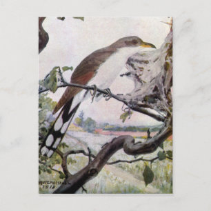 Postal Cucú y orugas de carpas de latón amarillo